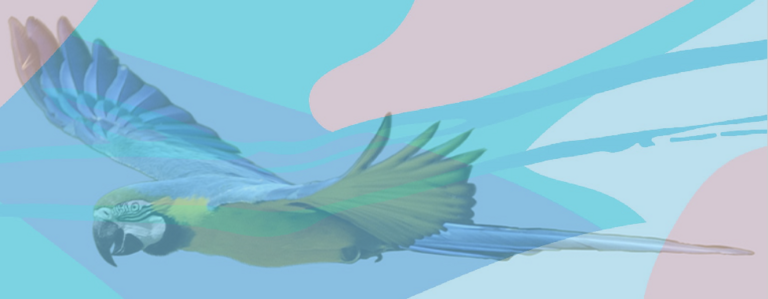 Foto Zeigt einen Papagei als Grafik