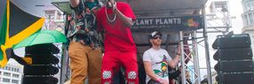 REGGAEINBERLIN.DE